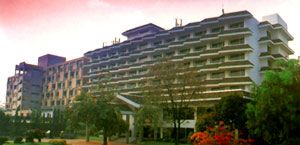 175.jpg