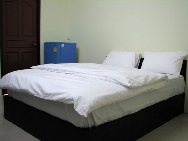870.jpg