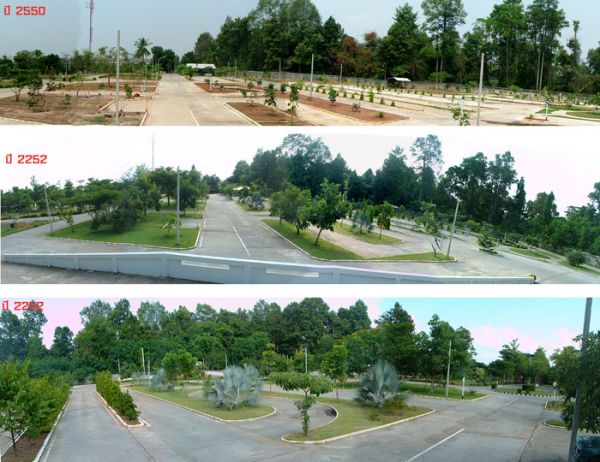 95.jpg